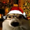 angelamehrkill24