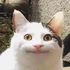 0tkdtjgmu