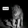 jahameedi1187