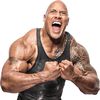 therock______316_____