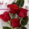 ijazhussain7002