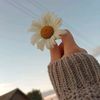lovesma8