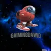 gaimingdawid
