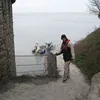 paulmahrer