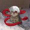 kuurrow