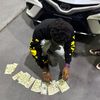 jevontaeofficial