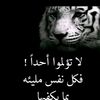 rawin52