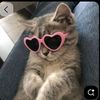 lcassie_nyra3