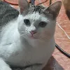 ngoctram02052005