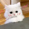 quynh2thg_6