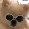 yongyedam53