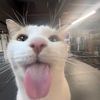 lukitup_1