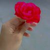 hey_im_laibii