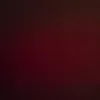 bordo1461