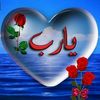 mohammed18305