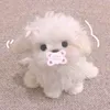 dollescentzzz