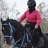 live_horses46