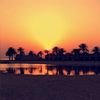bedour_q