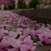 fatmabrkat.1