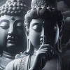 tiendiep4601