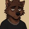 lazy.wolf_