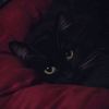 _joey0221_