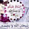 faiemsaifi56