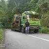 rezapolapa