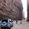 mooodss6.alula