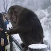 nguvailon0_0