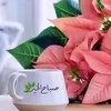 user98205149