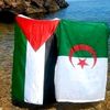 user8072524aziz