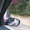 mo_txi