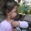 anania_5