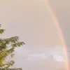 marco_petrucci_