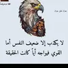 sanad_439