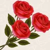 mustafa9672