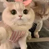 oreo.choko