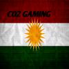co2gaming3