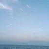 tankhongten