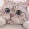userngzplww7ij