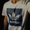 seli_24l