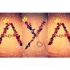 ayammmm70