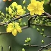 user311020336