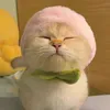 bohan_utit