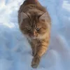 _pasha20_06moskalev_