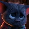 user07912202