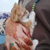 loubnafashionn