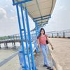 tika_ned.yt1929