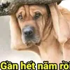 userywfz1dn2zs
